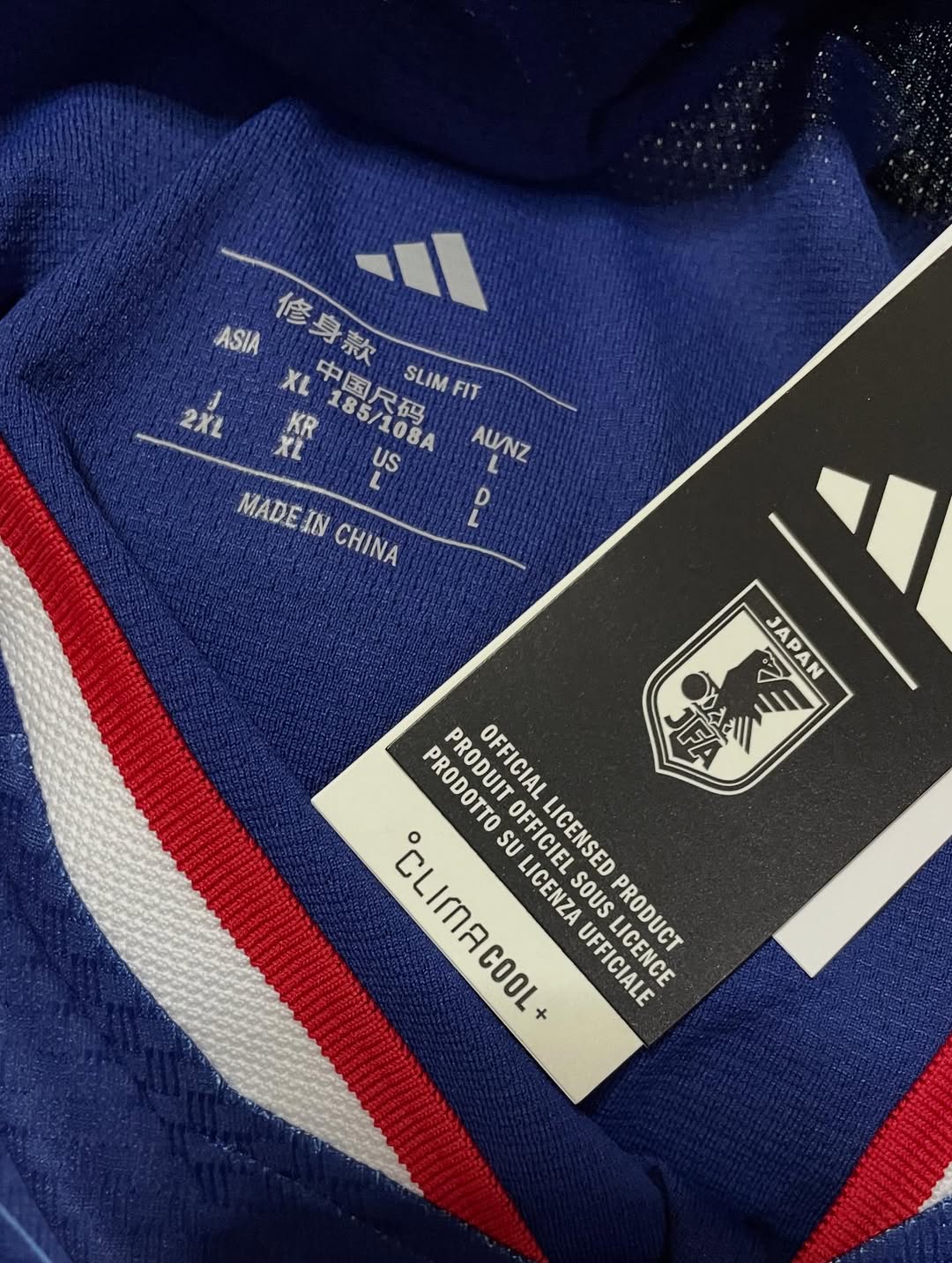 Japan Home 2026 Player Version